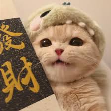 Ảnh đại diện người dùng Hải Đăng